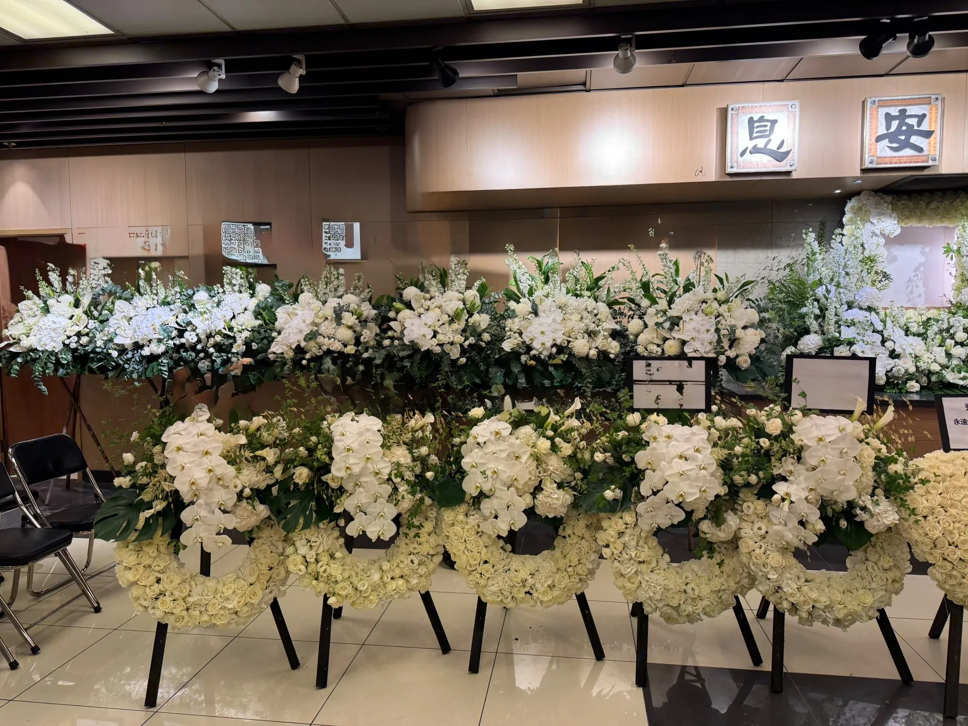 矮圈